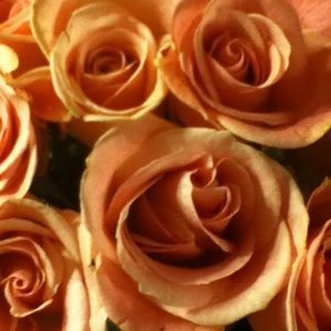 Meet your Posher, Valerie